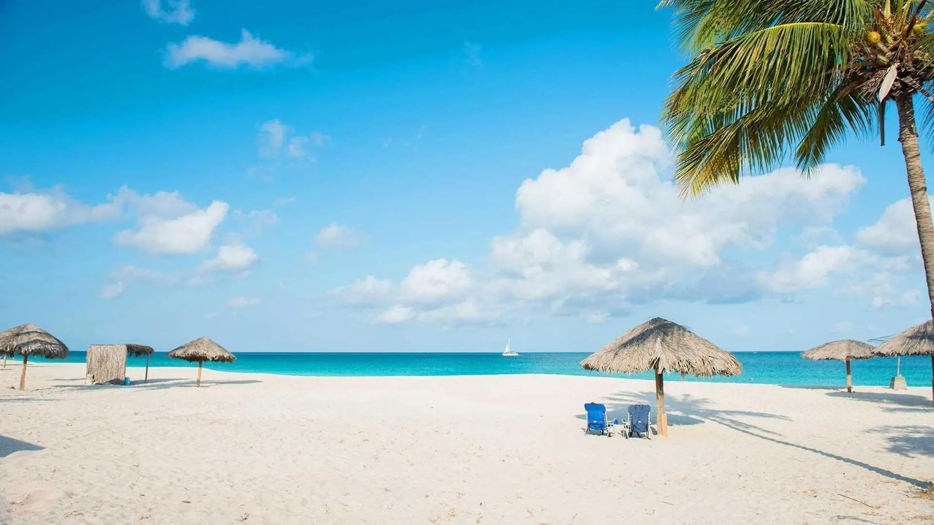 Beachfront Palm Beach Aruba